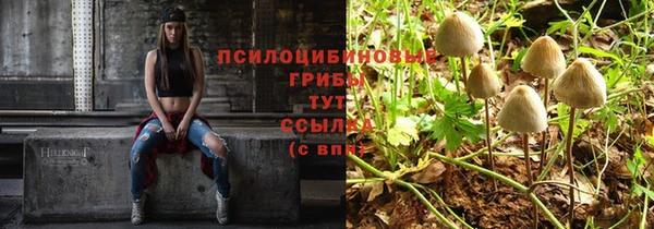 PSILOCYBIN Абинск