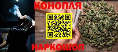 гидра Малгобек