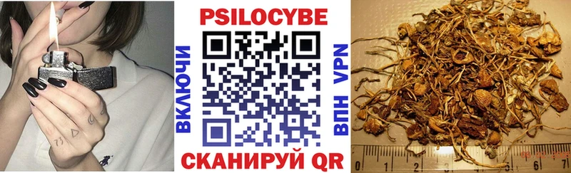 Галлюциногенные грибы GOLDEN TEACHER mega рабочий сайт Грозный